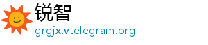 锐智